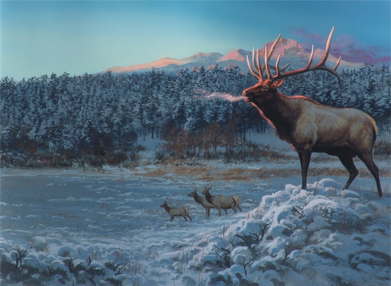 ESTES PARK MORNING