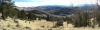 MULLOCK GULCH