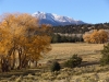 PRINCETON COTTONWOODS