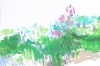 MEADOWPLAY