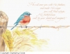 BLUE BIRDS