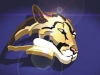 PUMA POINT