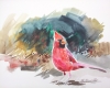 CARDINAL ONE