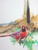CARDINAL THREE