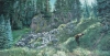 SECLUDED CIRQUE