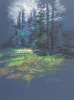 SECRET MEADOW