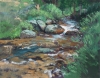 NORTH FORK LAKE CREEK