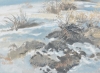 BRUSH AND SNOW
