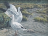 ROSS GEESE