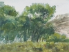 ALKALI CREEK