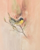YELLOW THROAT