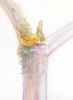 YELLOW WARBLERS