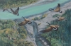 KOYUKUK CANADIANS